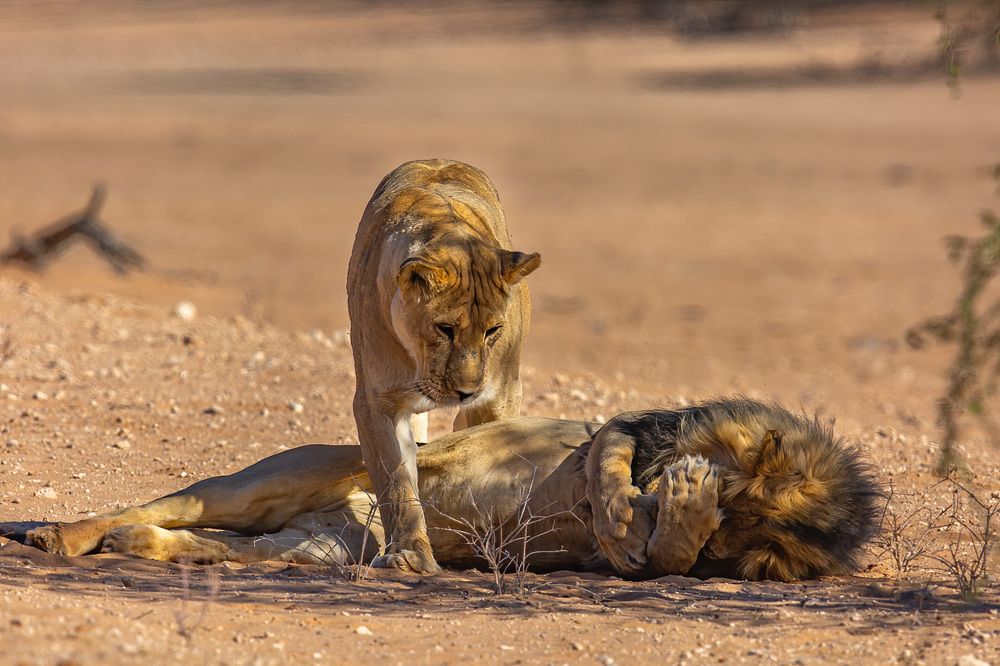 No please no more!!!