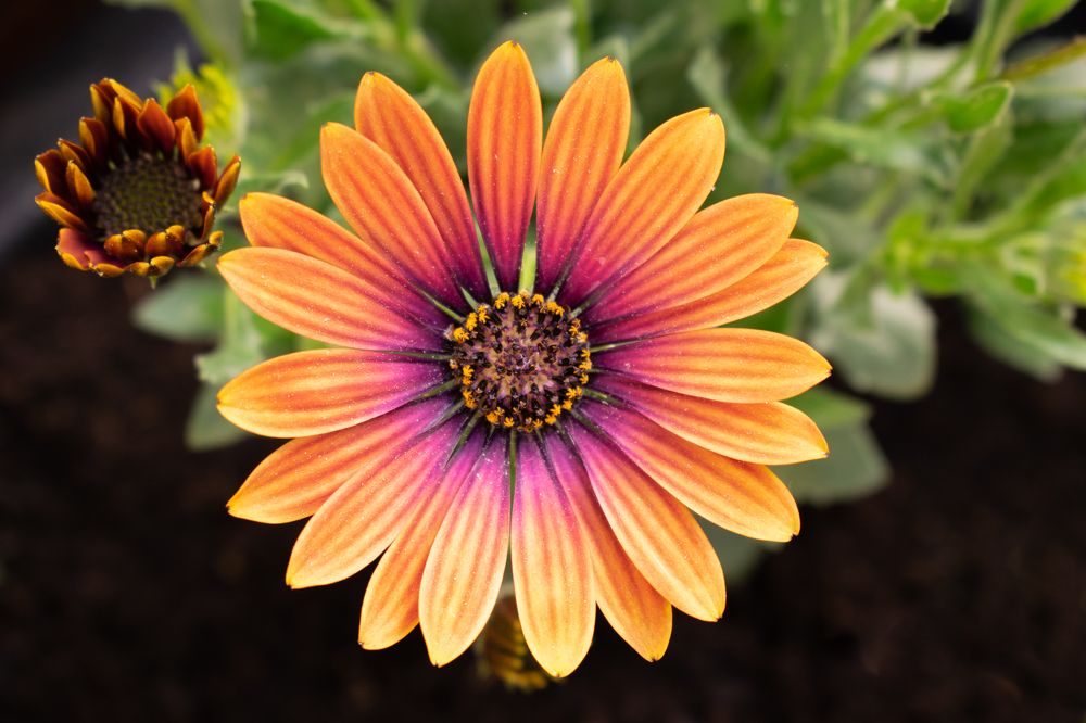 Photograph by Marta Pająk