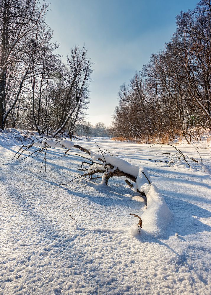Photograph by Alexander Plaksin