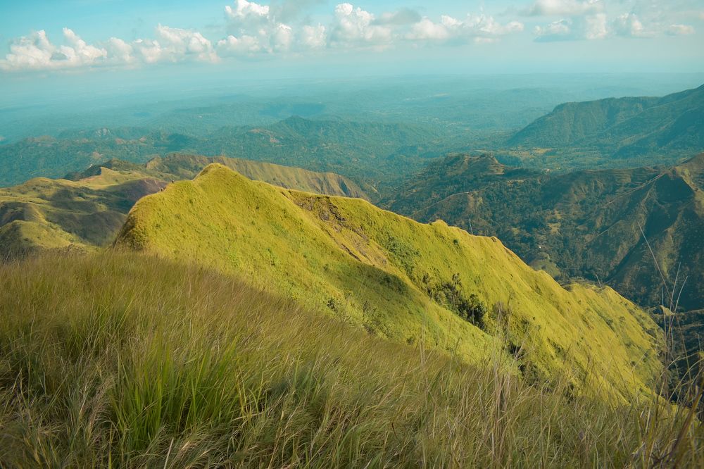 Photograph by Maria Elena Dome