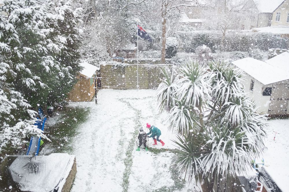 Photograph by Julia Mustard