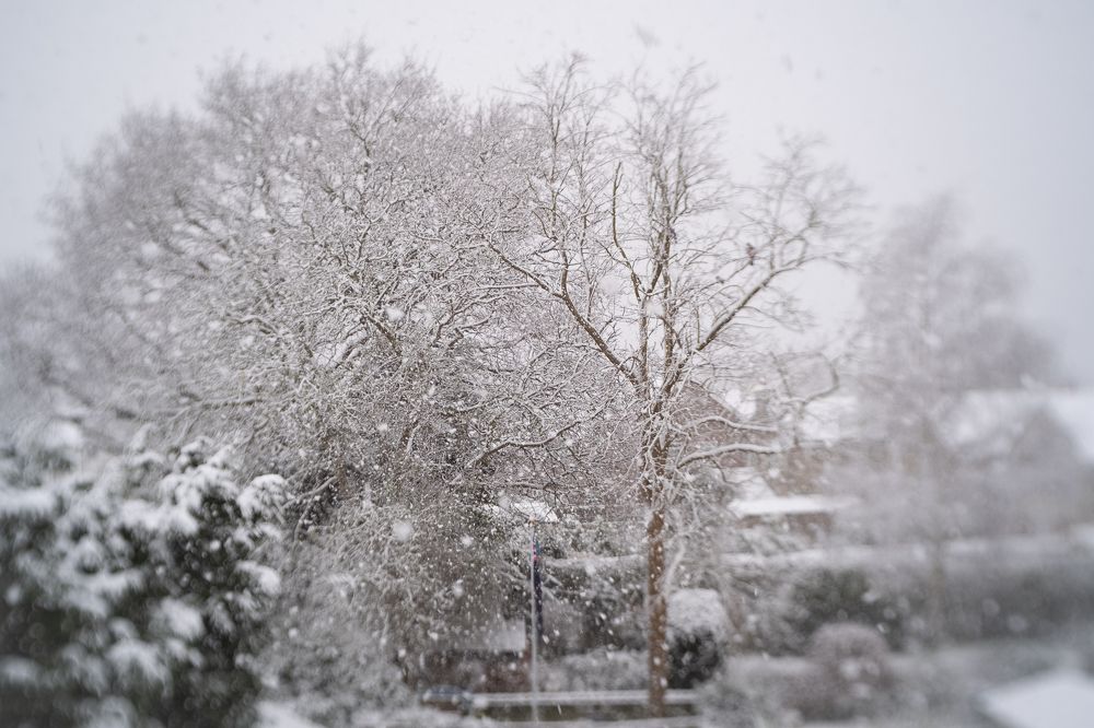 Photograph by Julia Mustard