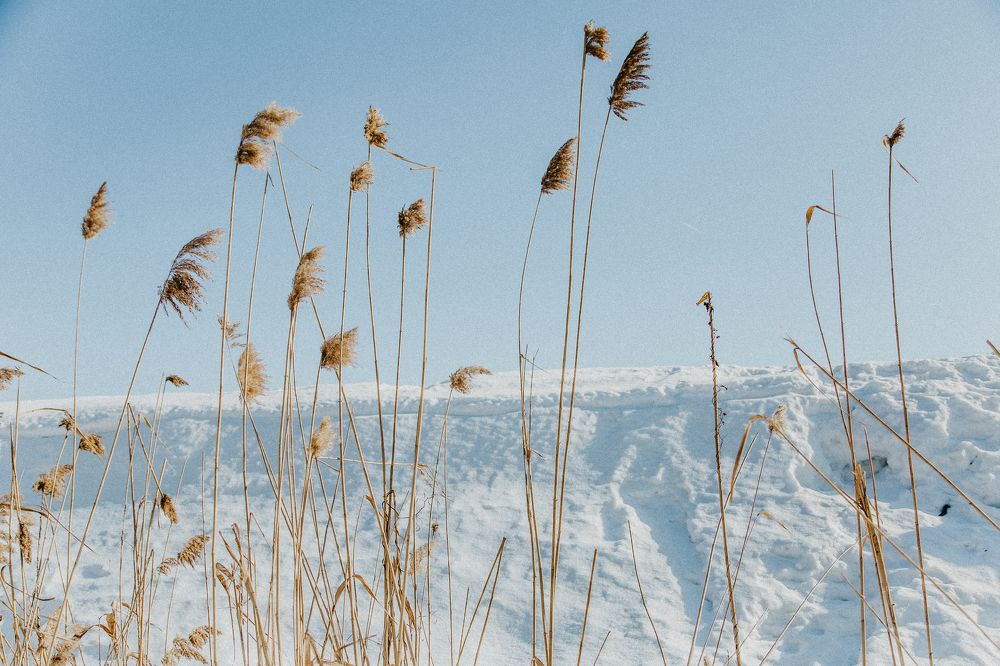 Photograph by Вероника Янина