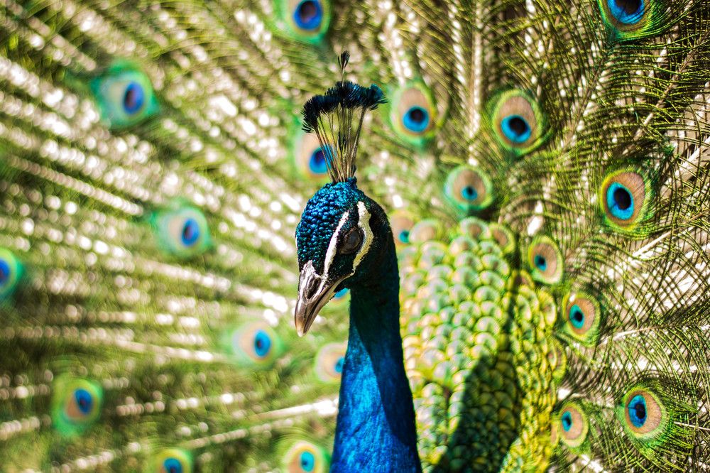 Photograph by Димитар Бирачоски