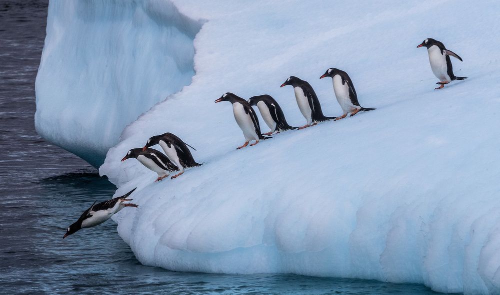 Photograph by Александр Лозицкий