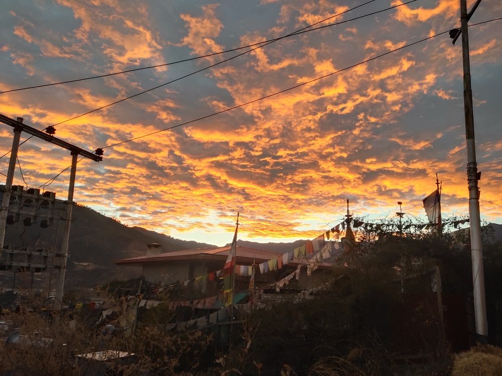 Photo #5592543