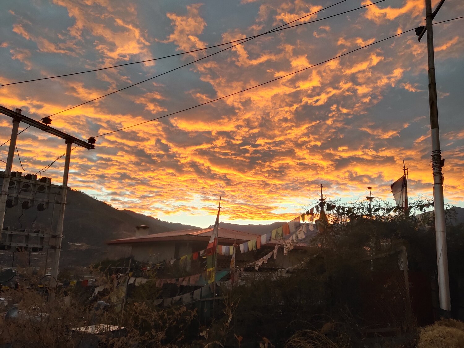 Photo #5592543
