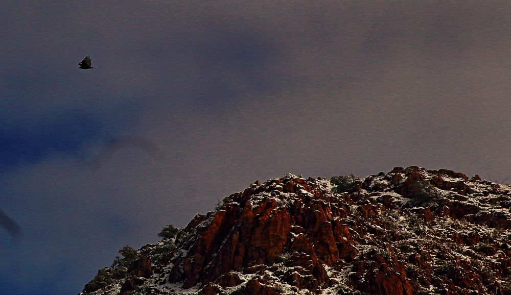 Photograph by Pérez valdez Joel