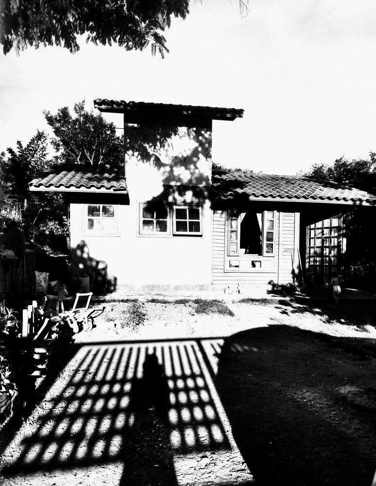 Photo #5592619