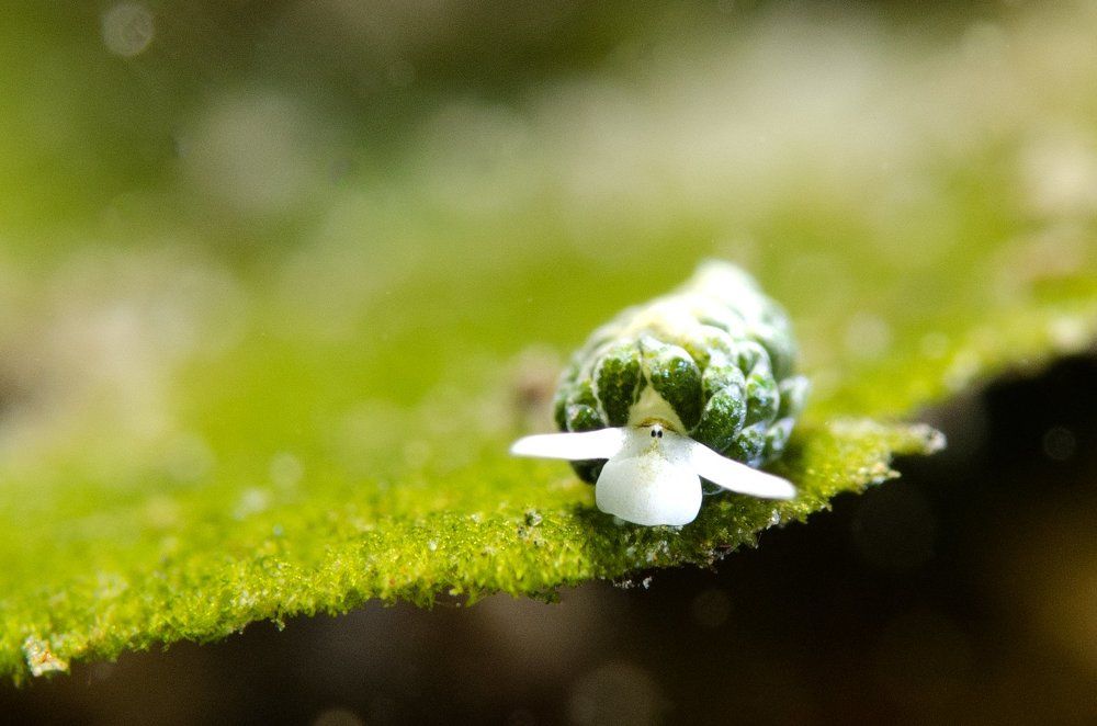 Photograph by EELIN Chan