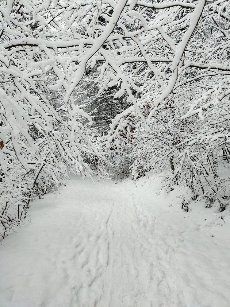 Photograph by Валерия Чернюк