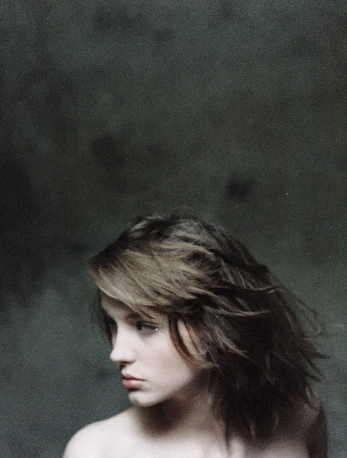 Photo #5592731