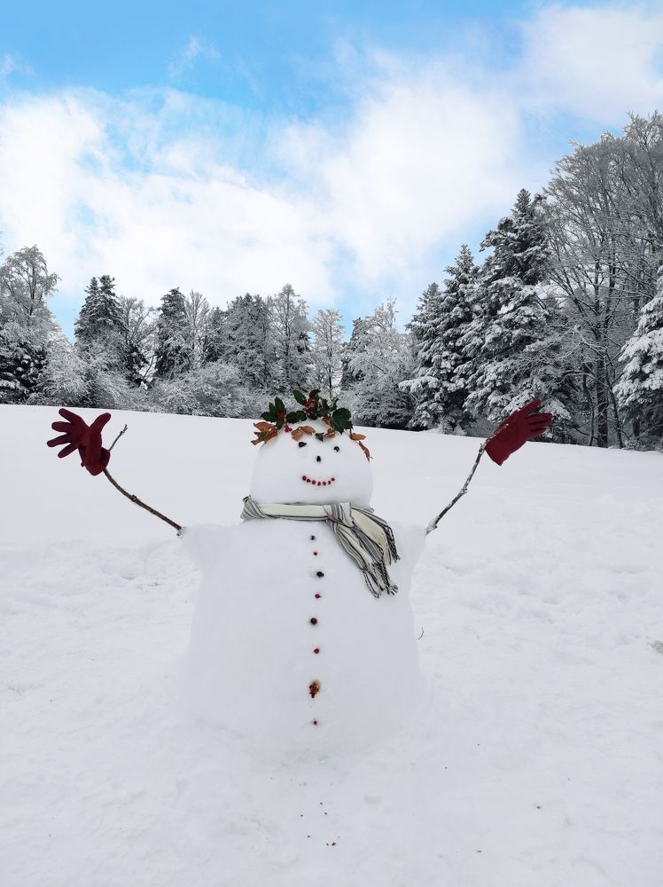Снеговик ⛄ 2021