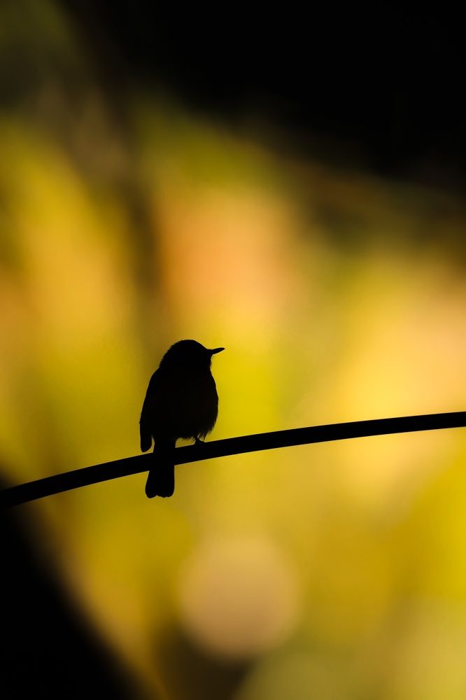 Photograph by Srikanth Santhinathan