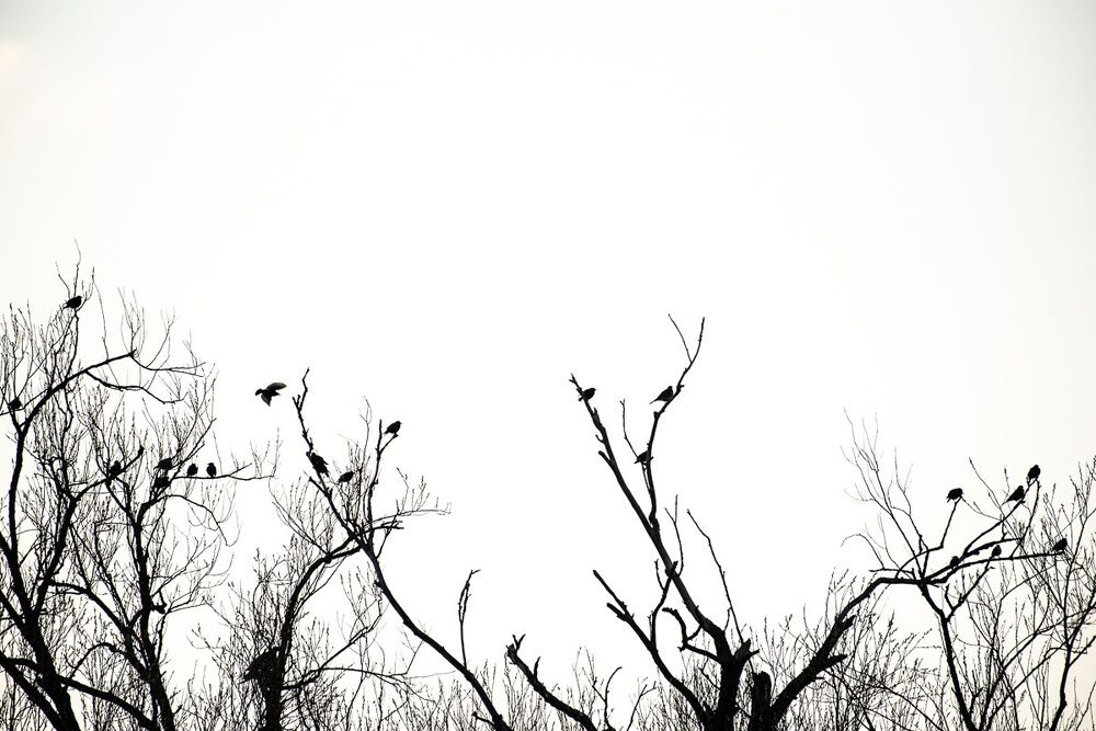 Photograph by Srikanth Santhinathan