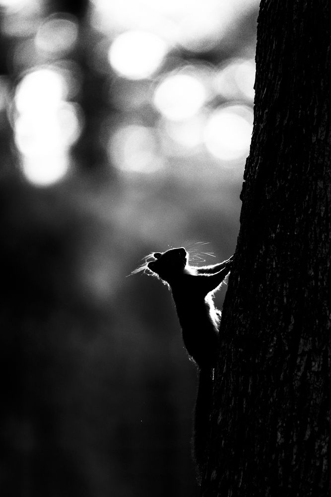 Photograph by Srikanth Santhinathan