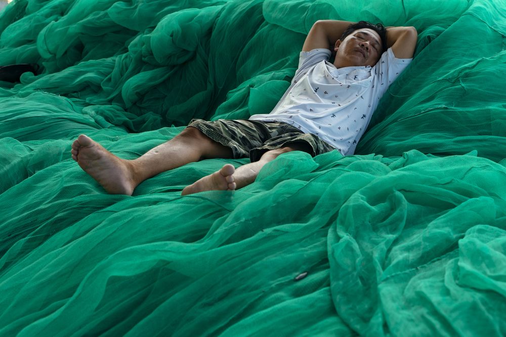 Фотография автора Dang Le