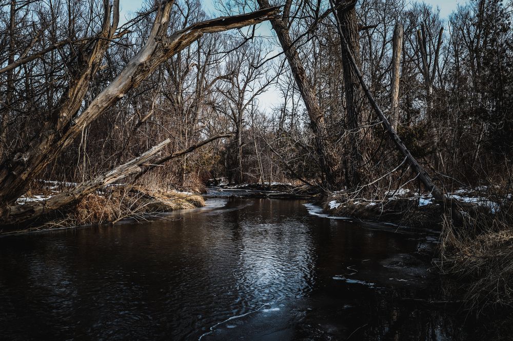 Photograph by Greg Noakes