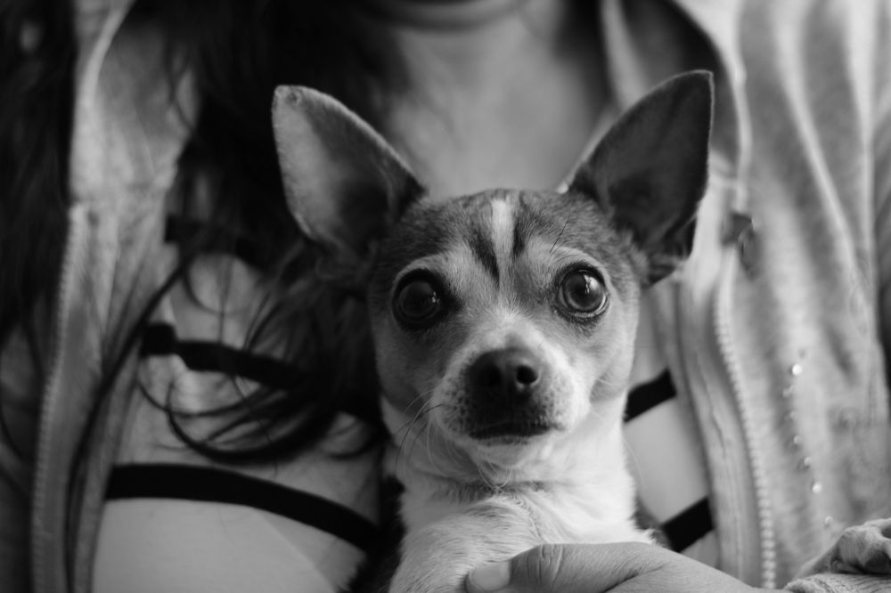 Photograph by Mario Israel Barrios