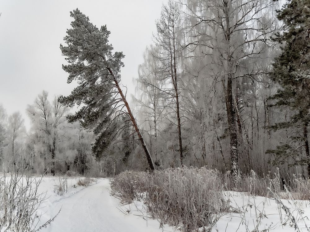 Photograph by Николай Смолянкин