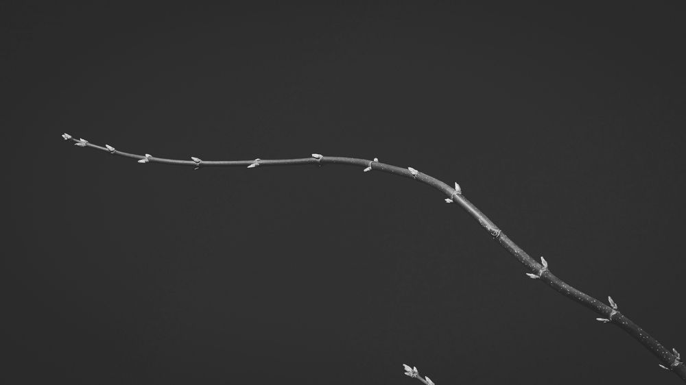 Photograph by Мария Королева