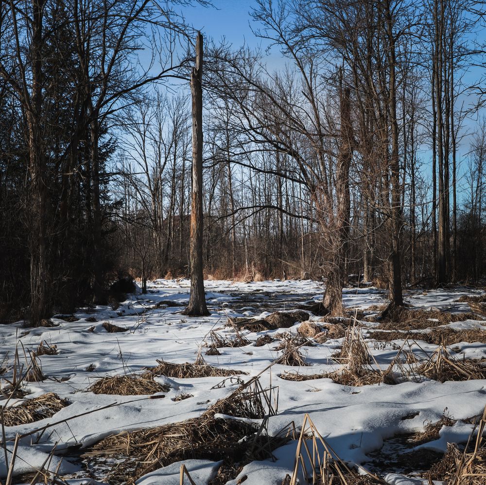 Photograph by Greg Noakes