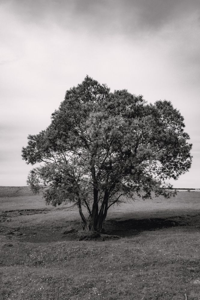 Photograph by Владислав Переродин