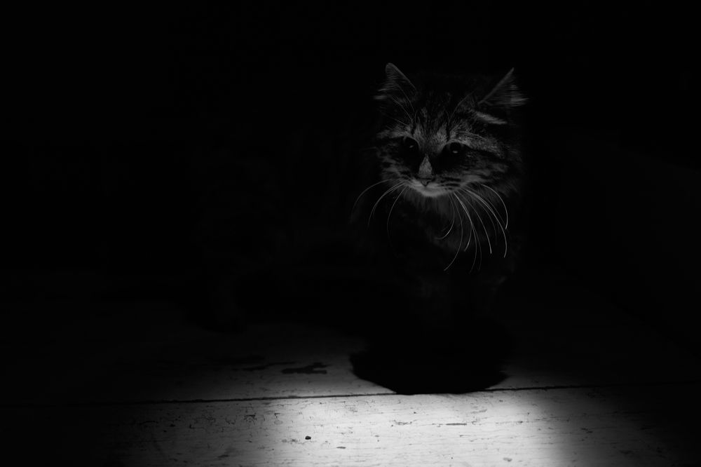 Photograph by Алексей Карабухин