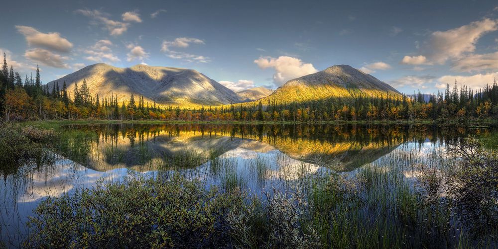 Формы и линии..