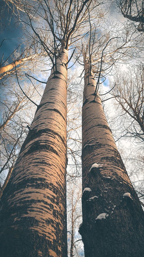 Photograph by Владислав Переродин