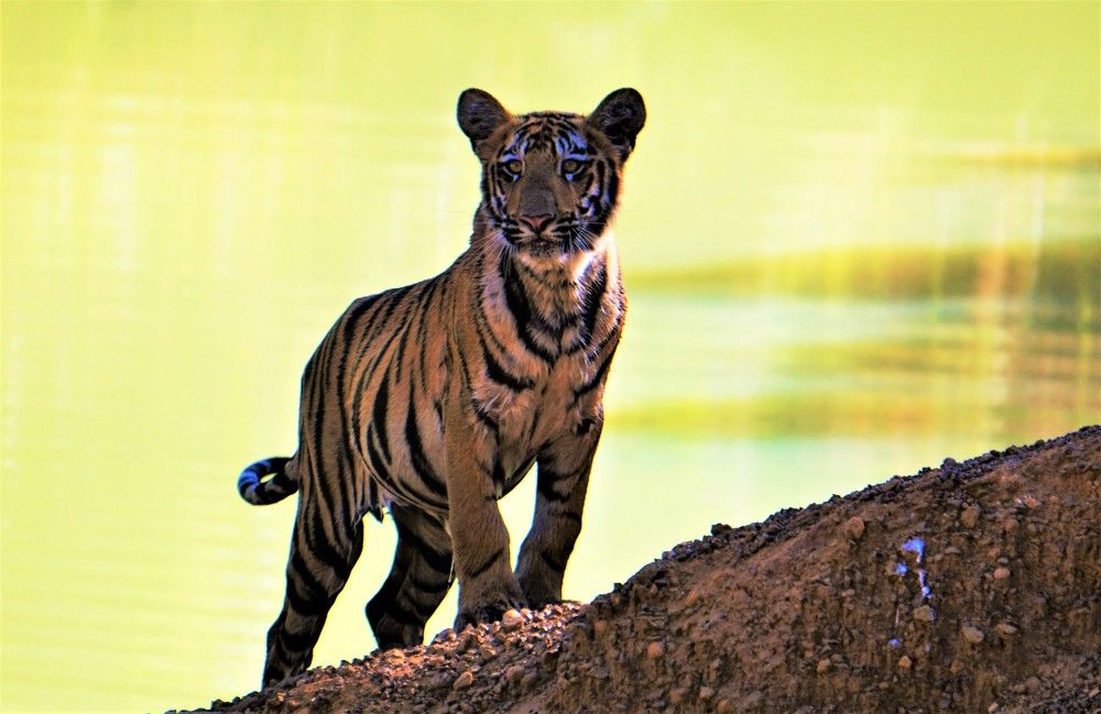 A new world to explore