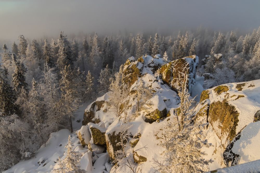 Photograph by Николай Диордиев