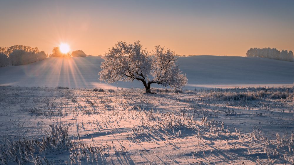 Зимнее серебро...