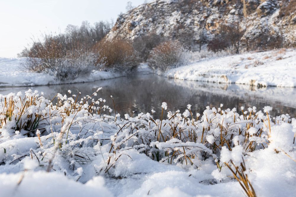 Морозный денек