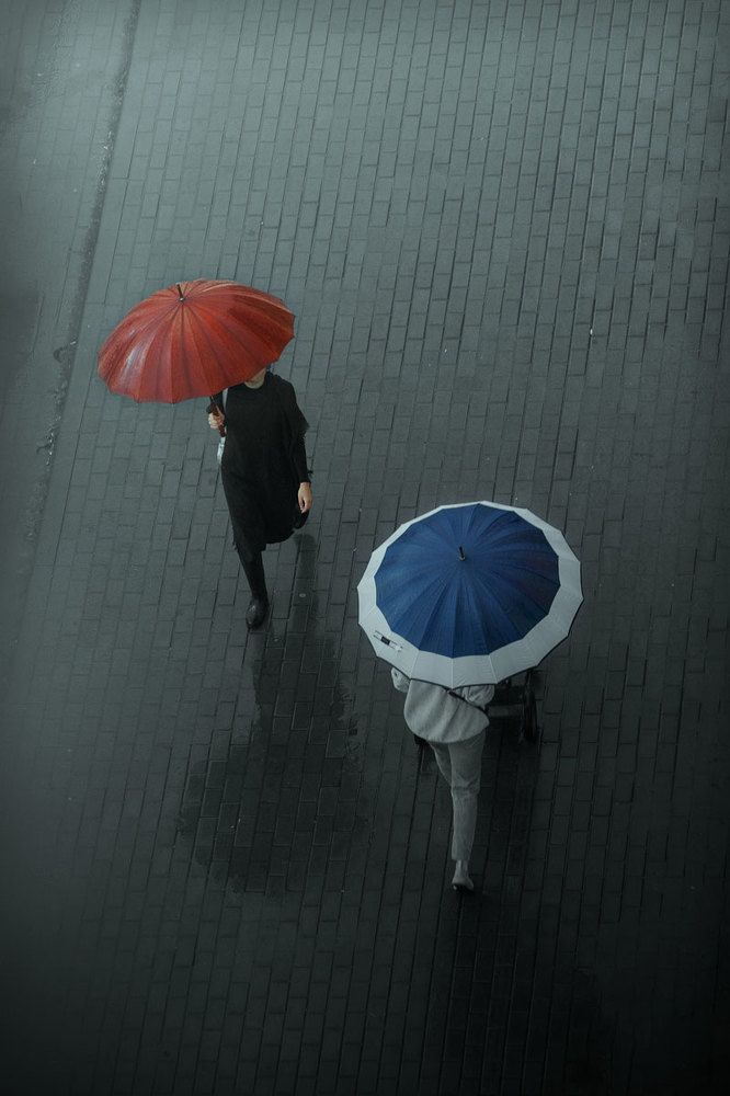 Photograph by Кирилл Тишин