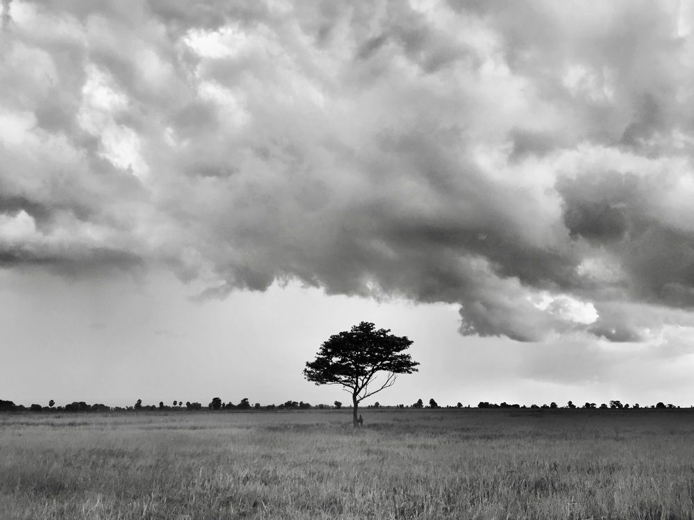 Photograph by Mohamed Aashik Mohamed Caseem