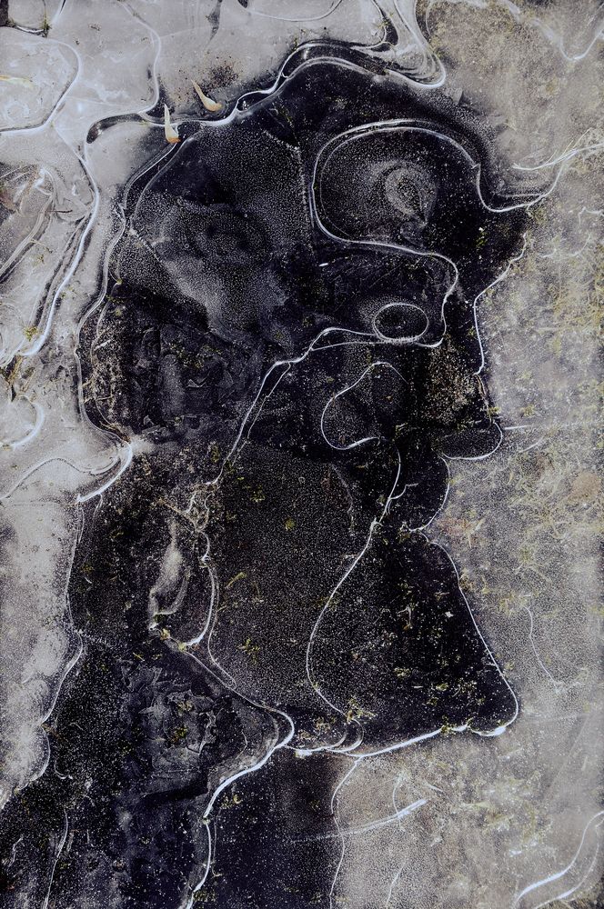 Photograph by ПОЛУЕВ ИЛЬЯ