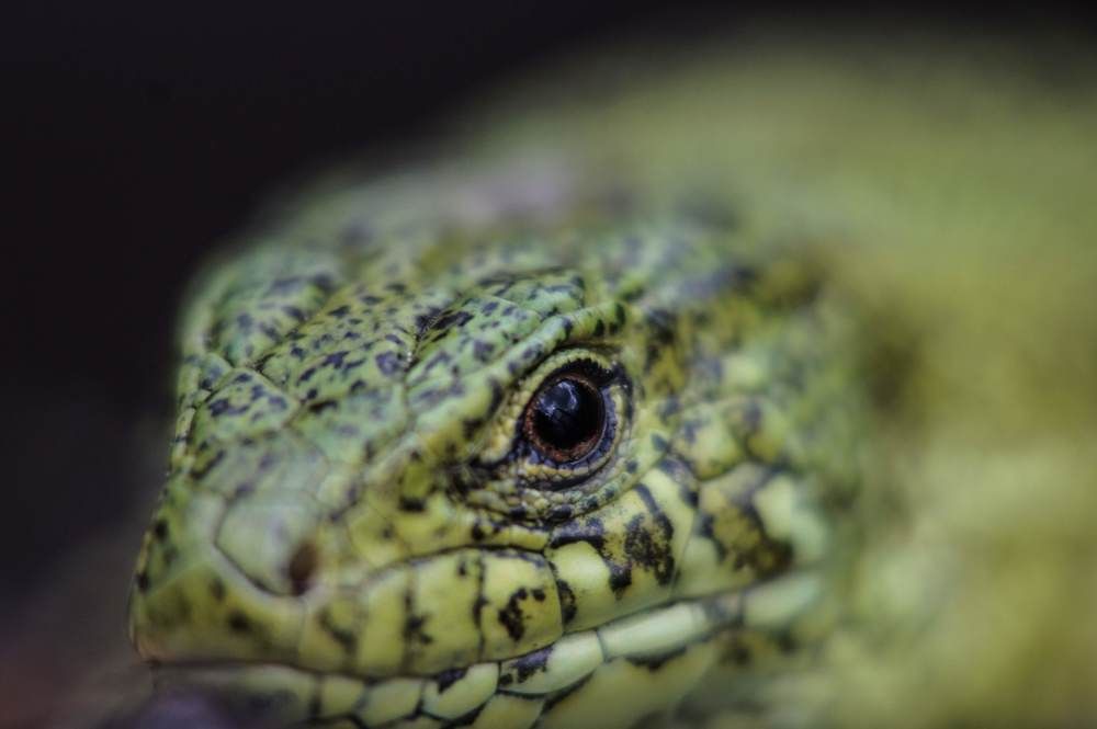 Photograph by Сергей Забиякин