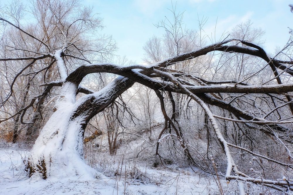 Photograph by Сергей Колесниченко