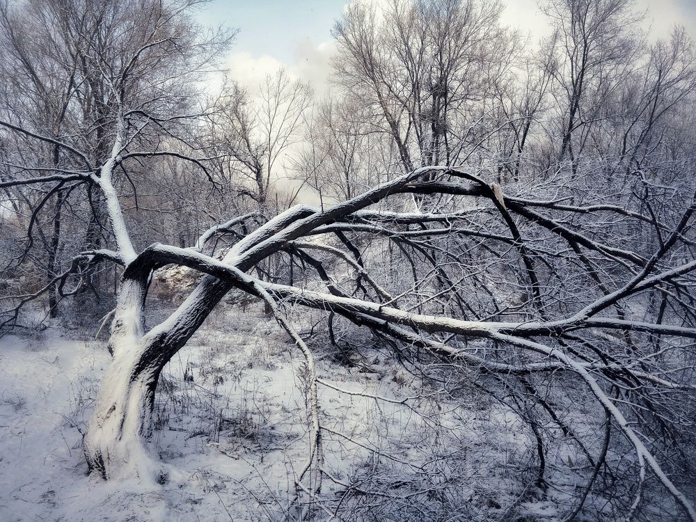 Photograph by Сергей Колесниченко