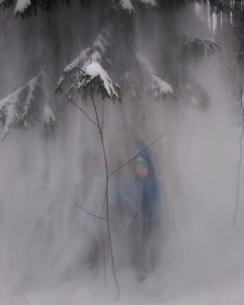 Photo #5593665