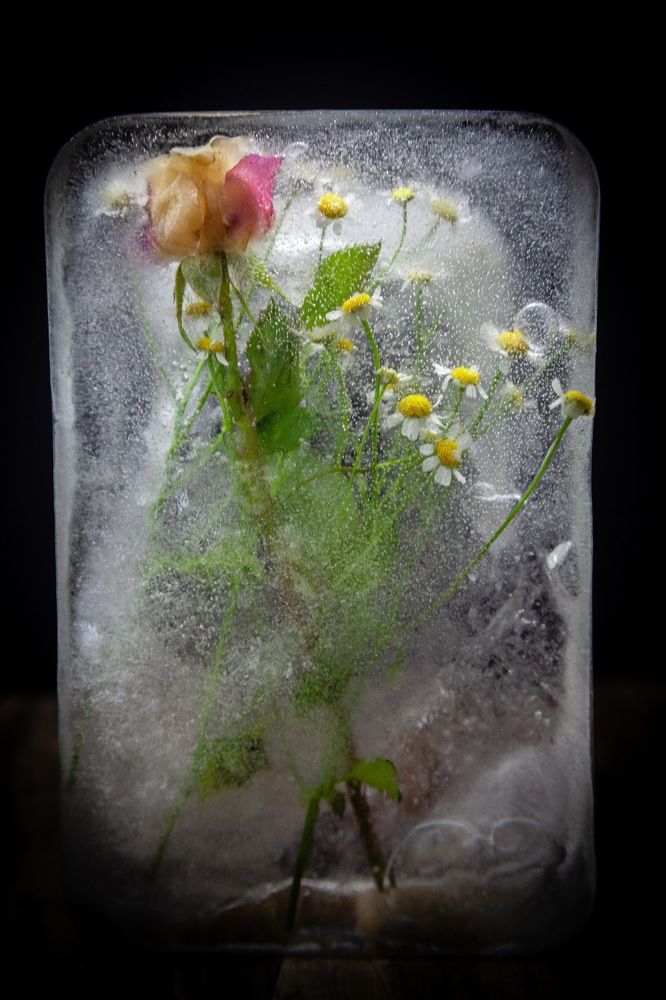 Замороженная сказка.