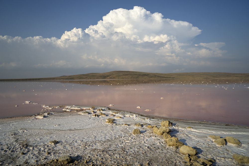 Photograph by Елена Ковригина