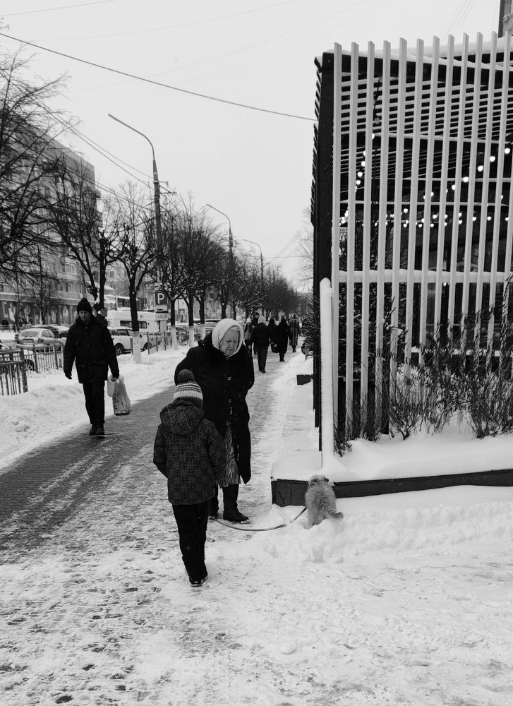 Photograph by Максим Чибисов