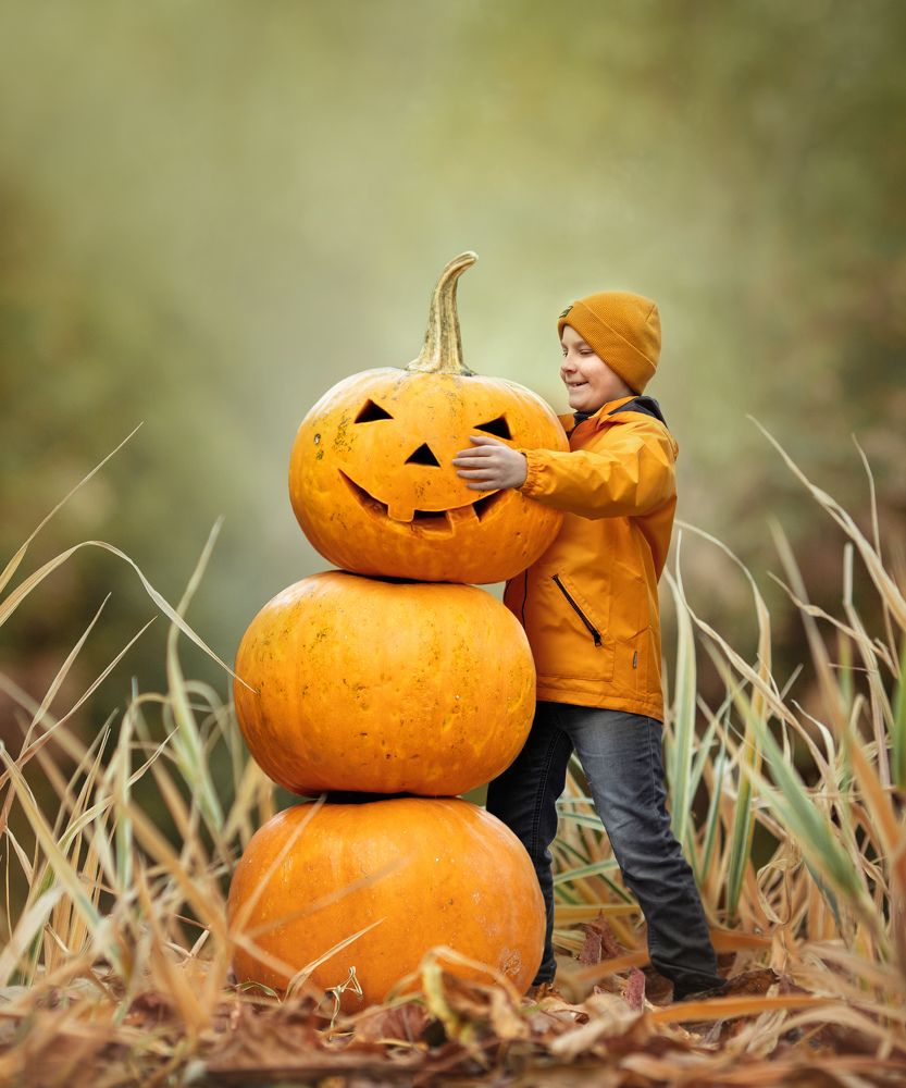 Осенние хлопоты