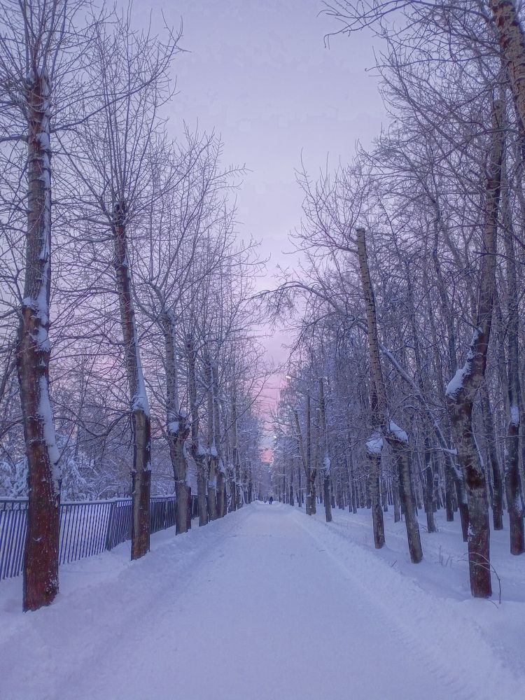 Photograph by Ангелина Карелина