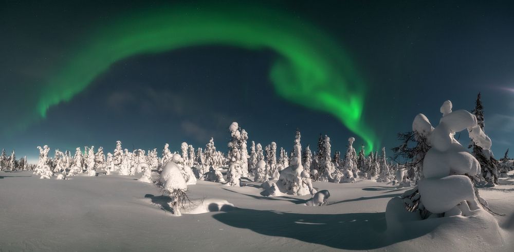 Photograph by Олег Буцкий