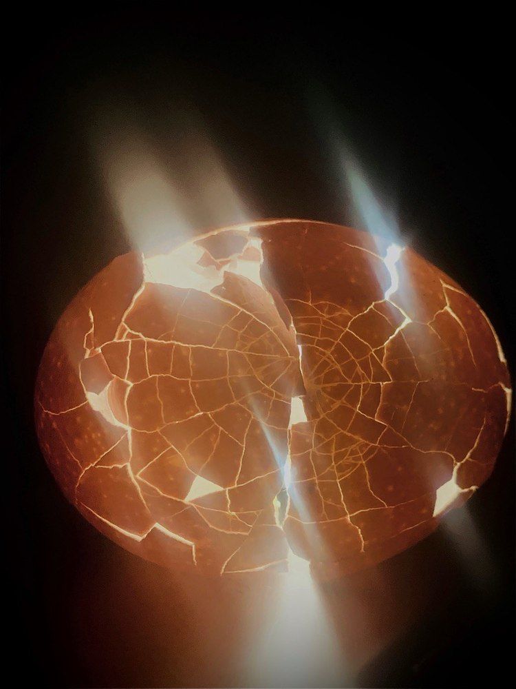 Photograph by Anastasia Malysh