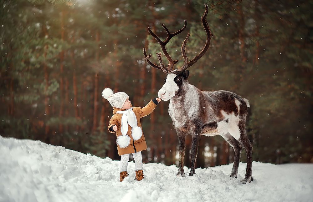 Photograph by Мила Шелест