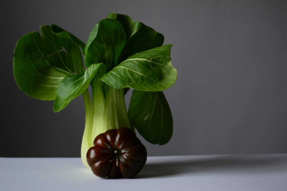 Photograph by Anastasiia Kuzmicheva